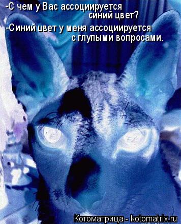 -С чем у Вас ассоциируется синий цвет? -Синий цвет у меня ассоциируется с глупыми вопросами.... Котоматрица: -С чем у Вас ассоциируется синий цвет? -Синий цвет у меня ассоциируется с глупыми вопросами.
