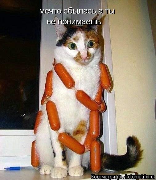 мечто сбылась,а ты не понимаешь... Котоматрица: мечто сбылась,а ты не понимаешь