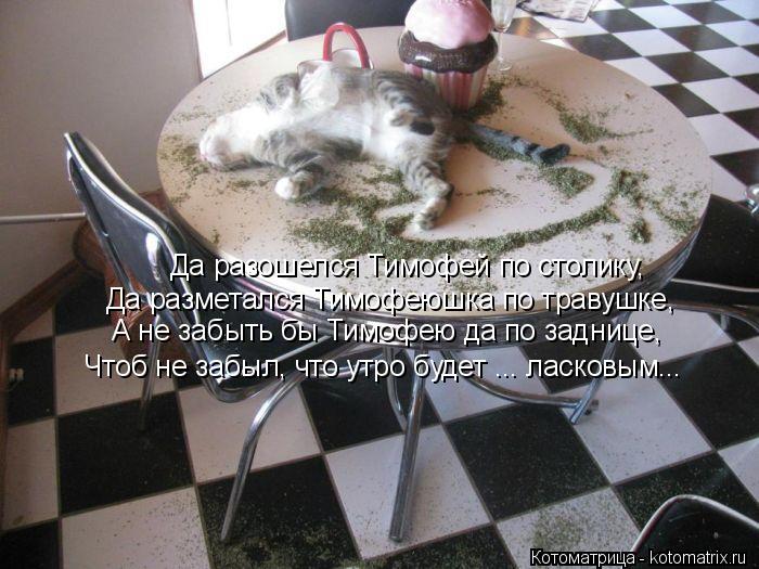 Да разошелся Тимофей по столику, Да разметался Тимофеюшка по травушке, А не забыть бы Тимофею да по з... Котоматрица: Да разошелся Тимофей по столику, Да разметался Тимофеюшка по травушке, А не забыть бы Тимофею да по заднице, Чтоб не забыл, что утро будет ...