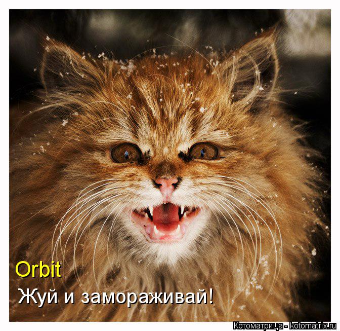 Оrbit Жуй и замораживай!... Котоматрица: Оrbit Жуй и замораживай!