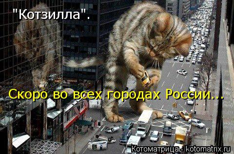 "Котзилла". Скоро во всех городах России...... Котоматрица: "Котзилла". Скоро во всех городах России...