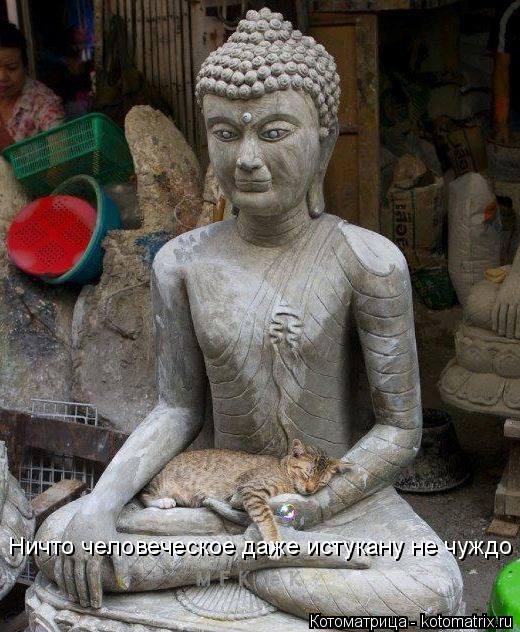 Ничто человеческое даже истукану не чуждо... Котоматрица: Ничто человеческое даже истукану не чуждо