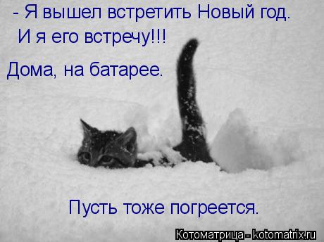 - Я вышел встретить Новый год. И я его встречу!!! Дома, на батарее. Пусть тоже погреется.... Котоматрица: - Я вышел встретить Новый год. И я его встречу!!! Дома, на батарее. Пусть тоже погреется.