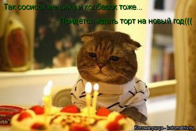 Так сосисок не вижу и колбасок тоже... Придётся ждать торт на новый год(((... Котоматрица: Так сосисок не вижу и колбасок тоже... Придётся ждать торт на новый год(((