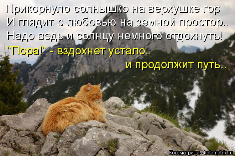 Прикорнуло солнышко на верхушке гор И глядит с любовью на земной простор.. Надо ведь и солнцу немного... Котоматрица: Прикорнуло солнышко на верхушке гор И глядит с любовью на земной простор.. Надо ведь и солнцу немного отдохнуть! "Пора!" - вздохнет устало.. и