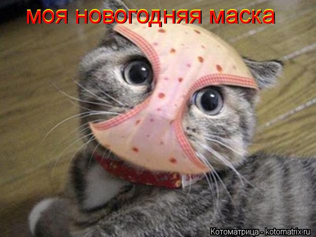 Котоматрица: моя новогодняя маска моя новогодняя маска