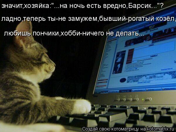 ладно,теперь ты-не замужем,бывший-рогатый козёл, любишь пончики,хобби-ничего не делать... значит,хозя... Котоматрица: ладно,теперь ты-не замужем,бывший-рогатый козёл, любишь пончики,хобби-ничего не делать... значит,хозяйка:"...на ночь есть вредно,Барсик..."?