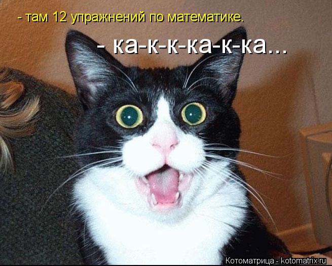 - там 12 упражнений по математике. - ка-к-к-ка-к-ка...... Котоматрица: - там 12 упражнений по математике. - ка-к-к-ка-к-ка...