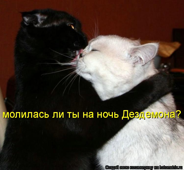 молилась ли ты на ночь Дездемона?... Котоматрица: молилась ли ты на ночь Дездемона?