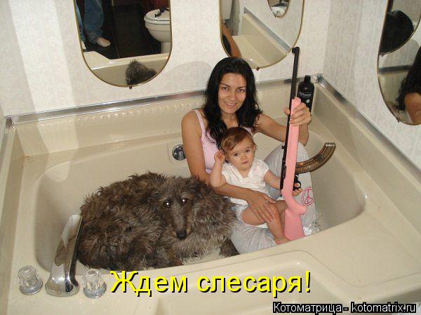 Ждем слесаря!... Котоматрица: Ждем слесаря!