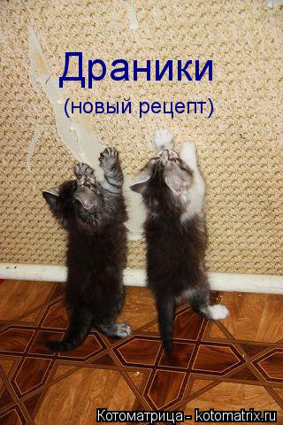 Котоматрица: Драники (новый рецепт)