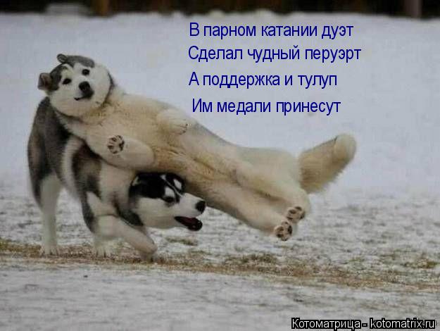 Котоматрица: В парном катании дуэт Сделал чудный перуэрт А поддержка и тулуп Им медали принесут