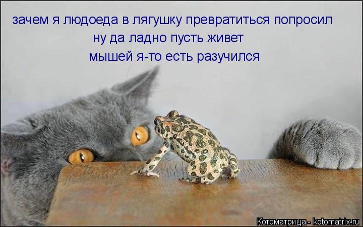 Котоматрица: зачем я людоеда в лягушку превратиться попросил ну да ладно пусть живет мышей я-то есть разучился