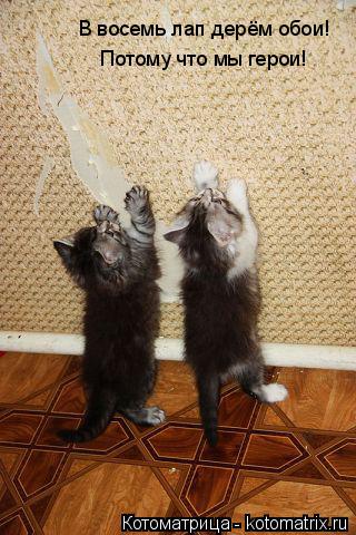 Котоматрица: В восемь лап дерём обои! Потому что мы герои!