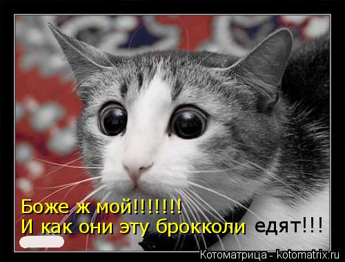 Боже ж мой!!!!!!! И как они эту брокколи едят!!!... Котоматрица: Боже ж мой!!!!!!! И как они эту брокколи едят!!!