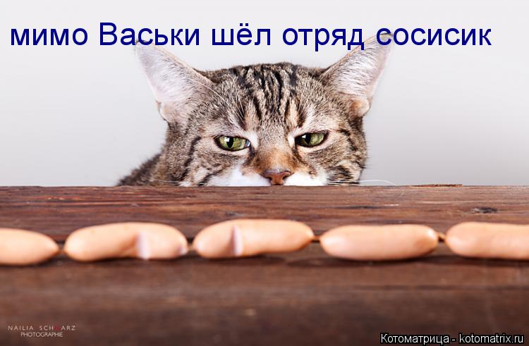 Котоматрица: мимо Васьки шёл отряд сосисик