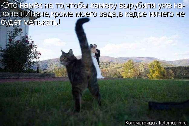 Котоматрица: -Это намёк на то,чтобы камеру вырубили уже на- конец!Иначе,кроме моего зада,в кадре ничего не будет мелькать!
