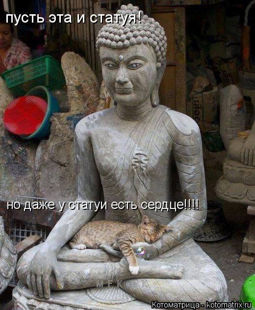 пусть эта и статуя! но даже у статуи есть сердце!!!!... Котоматрица: пусть эта и статуя! но даже у статуи есть сердце!!!!