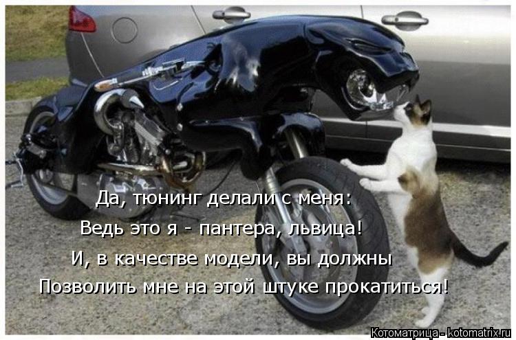 И, в качестве модели, вы должны Позволить мне на этой штуке прокатиться! Да, тюнинг делали с меня: Ве... Котоматрица: И, в качестве модели, вы должны Позволить мне на этой штуке прокатиться! Да, тюнинг делали с меня: Ведь это я - пантера, львица!