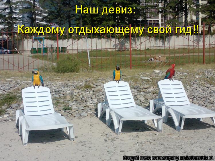 Котоматрица: Наш девиз: Каждому отдыхающему свой гид!!
