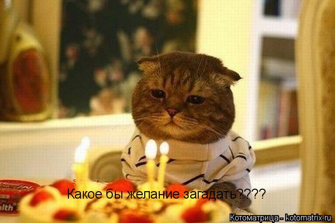 Какое бы желание загадать????... Котоматрица: Какое бы желание загадать????