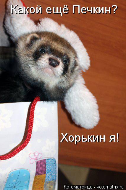 Какой ещё Печкин? Хорькин я!... Котоматрица: Какой ещё Печкин? Хорькин я!