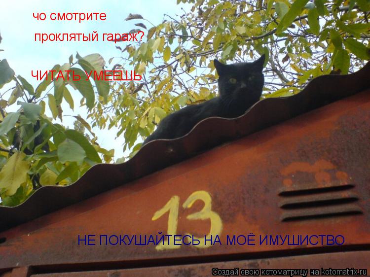 Котоматрица: чо смотрите проклятый гараж? НЕ ПОКУШАЙТЕСЬ НА МОЁ ИМУШИСТВО  ЧИТАТЬ УМЕЕШЬ