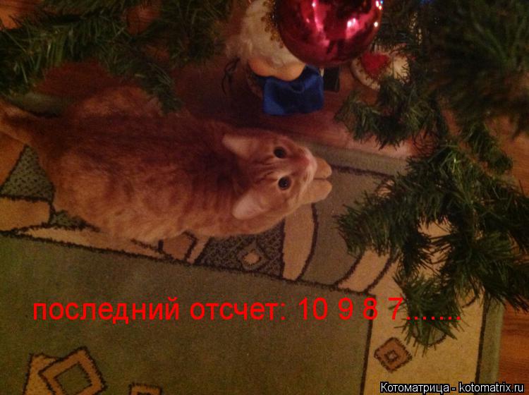 последний отсчет: 10 9 8 7.......... Котоматрица: последний отсчет: 10 9 8 7.......