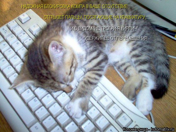 Котоматрица: НАДЕЖНАЯ БЛОКИРОВКА КОМПА В ВАШЕ ОТСУТСТВИЕ ОТГРЫЗЕТ ПАЛЬЦЫ, ПОСЯГАЮЩИЕ НА КЛАВИАТУРУ, И С ВИДОМ "НЕ ТРОГАЙ-Я КИРПИЧ" УДЕРЖИТ ЕЕ ОТ ПЕРЕМЕЩЕ