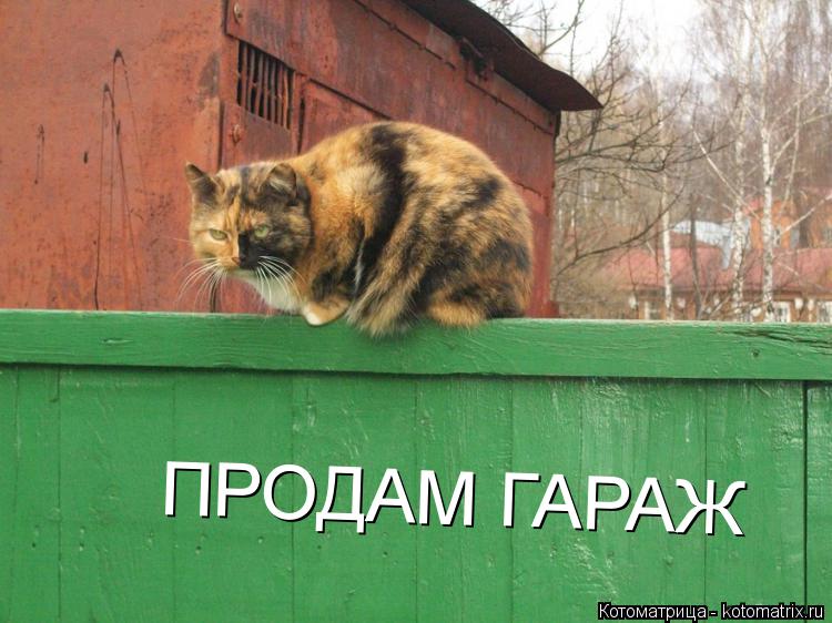 ПРОДАМ ГАРАЖ... Котоматрица: ПРОДАМ ГАРАЖ