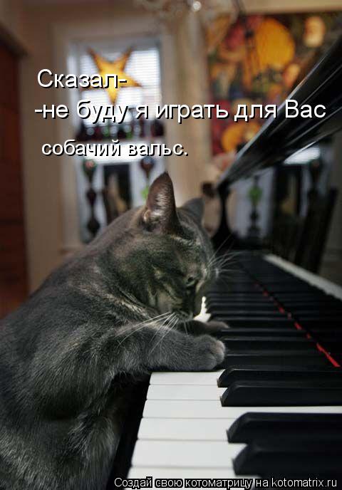 собачий вальс. Сказал- -не буду я играть для Вас... Котоматрица: собачий вальс. Сказал- -не буду я играть для Вас