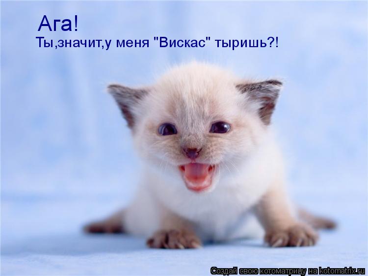 Ага! Ты,значит,у меня "Вискас" тыришь?!... Котоматрица: Ага! Ты,значит,у меня "Вискас" тыришь?!