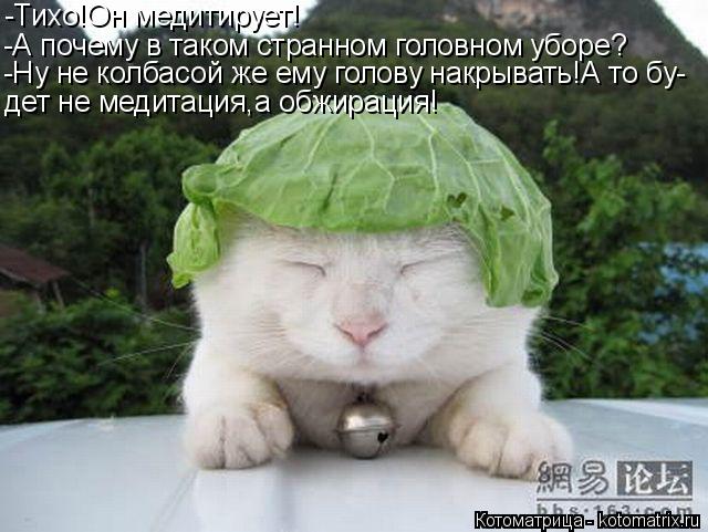 -Тихо!Он медитирует! -А почему в таком странном головном уборе? -Ну не колбасой же ему голову накрыва... Котоматрица: -Тихо!Он медитирует! -А почему в таком странном головном уборе? -Ну не колбасой же ему голову накрывать!А то бу- дет не медитация,а обжирация!