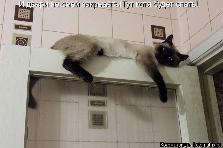И двери не смей закрывать!Тут котя будет спать!... Котоматрица: И двери не смей закрывать!Тут котя будет спать!