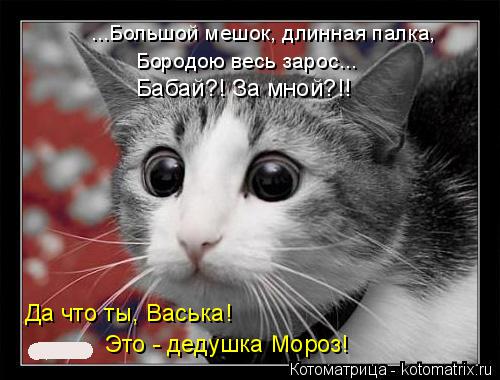 ...Большой мешок, длинная палка, Это - дедушка Мороз! Да что ты, Васька! Бабай?! За мной?!! Бородою в... Котоматрица: ...Большой мешок, длинная палка, Это - дедушка Мороз! Да что ты, Васька! Бабай?! За мной?!! Бородою весь зарос...