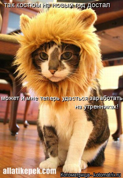 так костюм на новый год достал может и мне теперь удасться заработать на утренниках!... Котоматрица: так костюм на новый год достал может и мне теперь удасться заработать на утренниках!