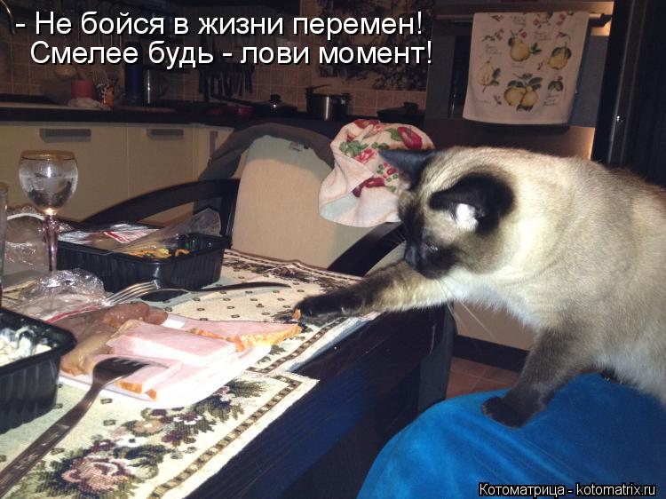 - Не бойся в жизни перемен! Смелее будь - лови момент!... Котоматрица: - Не бойся в жизни перемен! Смелее будь - лови момент!
