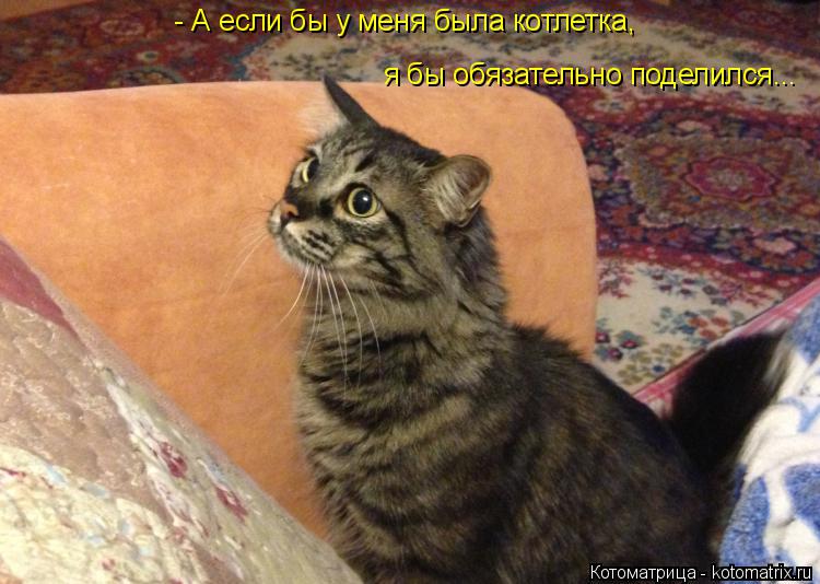 - А если бы у меня была котлетка, я бы обязательно поделился...... Котоматрица: - А если бы у меня была котлетка, я бы обязательно поделился...