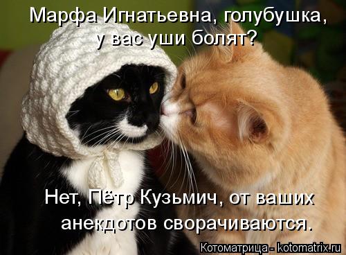 Котоматрица: Марфа Игнатьевна, голубушка, у вас уши болят? Нет, Пётр Кузьмич, от ваших анекдотов сворачиваются.