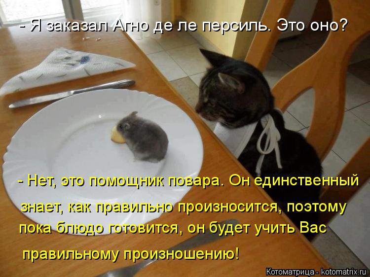 - Я заказал Агно де ле персиль. Это оно? - Нет, это помощник повара. Он единственный пока блюдо гото... Котоматрица: - Я заказал Агно де ле персиль. Это оно? - Нет, это помощник повара. Он единственный пока блюдо готовится, он будет учить Вас знает, как правил