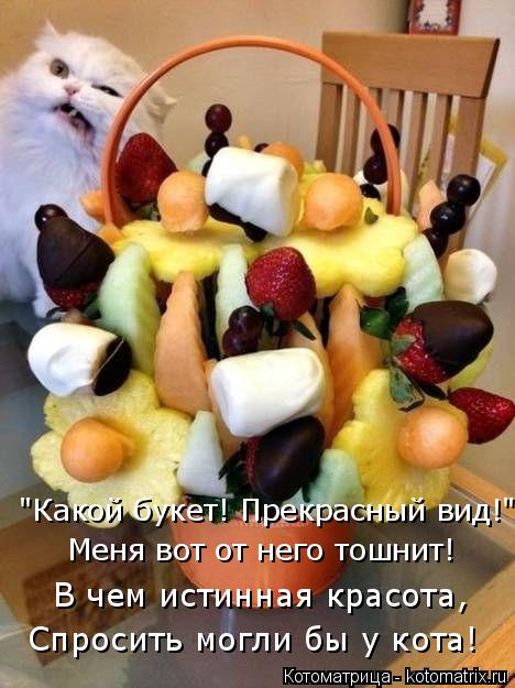 Котоматрица: "Какой букет! Прекрасный вид!" Меня вот от него тошнит! В чем истинная красота, Спросить могли бы у кота!