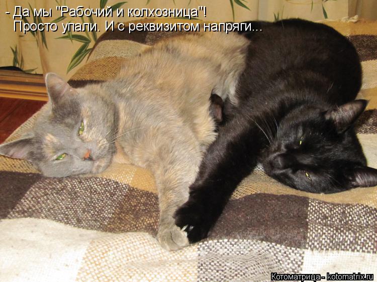 - Да мы "Рабочий и колхозница"! Просто упали. И с реквизитом напряги...... Котоматрица: - Да мы "Рабочий и колхозница"! Просто упали. И с реквизитом напряги...