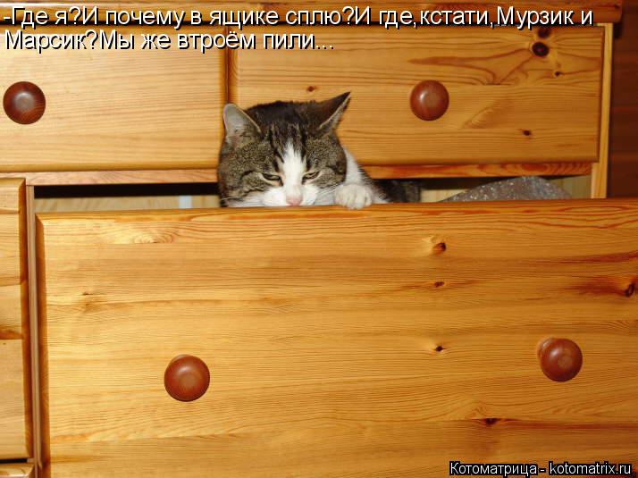 -Где я?И почему в ящике сплю?И где,кстати,Мурзик и Марсик?Мы же втроём пили...... Котоматрица: -Где я?И почему в ящике сплю?И где,кстати,Мурзик и Марсик?Мы же втроём пили...