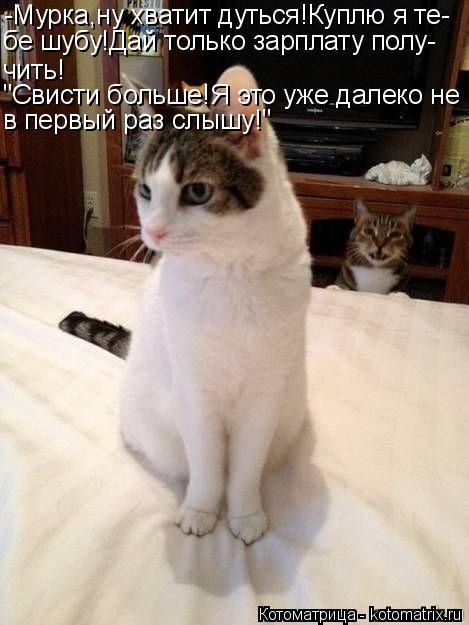 -Мурка,ну хватит дуться!Куплю я те- бе шубу!Дай только зарплату полу- чить! "Свисти больше!Я это уже ... Котоматрица: -Мурка,ну хватит дуться!Куплю я те- бе шубу!Дай только зарплату полу- чить! "Свисти больше!Я это уже далеко не в первый раз слышу!"