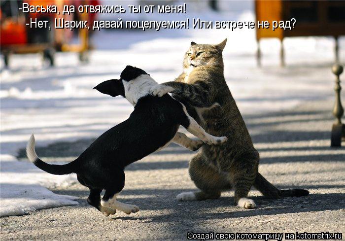 -Васька, да отвяжись ты от меня! -Нет, Шарик, давай поцелуемся! Или встрече не рад?... Котоматрица: -Васька, да отвяжись ты от меня! -Нет, Шарик, давай поцелуемся! Или встрече не рад?