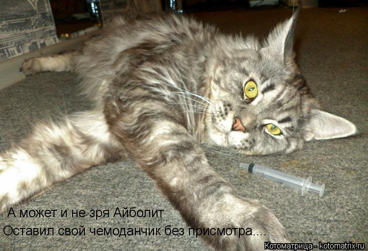 А может и не зря Айболит Оставил свой чемоданчик без присмотра....... Котоматрица: А может и не зря Айболит Оставил свой чемоданчик без присмотра....