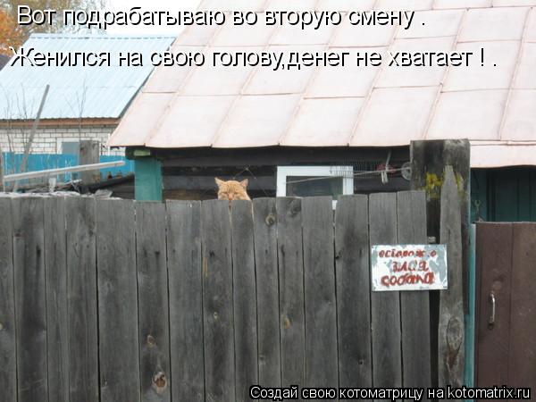 Женился на свою голову,денег не хватает ! . Вот подрабатываю во вторую смену .... Котоматрица: Женился на свою голову,денег не хватает ! . Вот подрабатываю во вторую смену .
