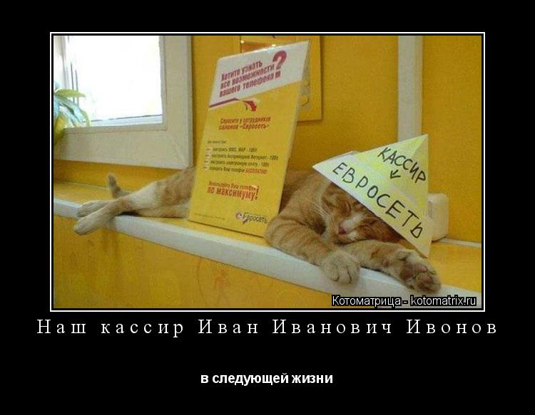 Наш кассир Иван Иванович Ивонов в следующей жизни... Котоматрица: Наш кассир Иван Иванович Ивонов в следующей жизни