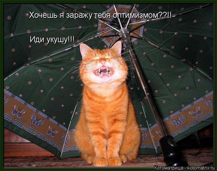 Хочешь я заражу тебя оптимизмом??!! Иди укушу!!!... Котоматрица: Хочешь я заражу тебя оптимизмом??!! Иди укушу!!!