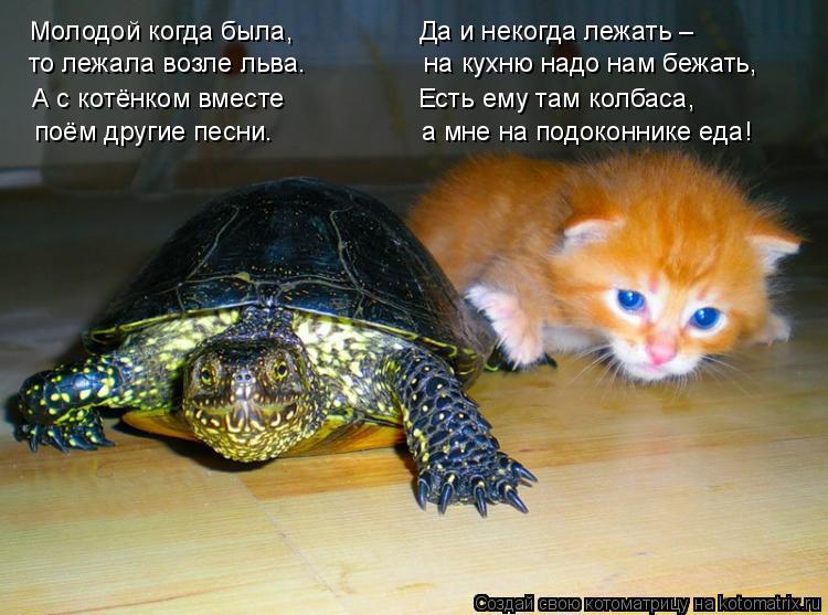 то лежала возле льва. на кухню надо нам бежать, Молодой когда была, Да... Котоматрица: то лежала возле льва. на кухню надо нам бежать, Молодой когда была, Да и некогда лежать – А с котёнком вместе Есть